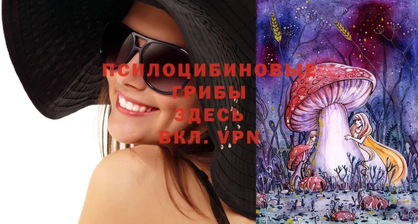 mdpv Алзамай