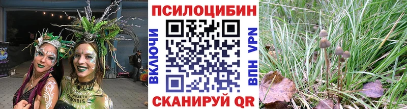 Псилоцибиновые грибы MAGIC MUSHROOMS закладка Карабаш